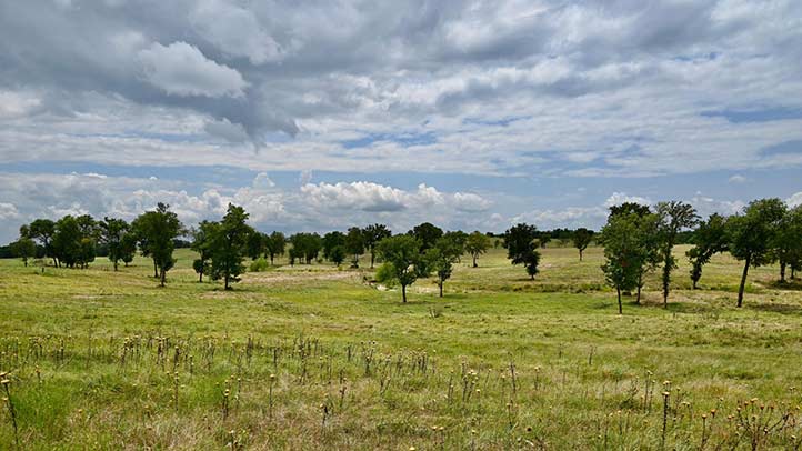 50 Acres Kingston, OK