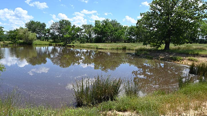 320 Acres Lehigh, OK